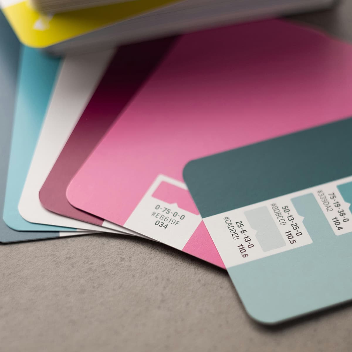 Un nuancier de couleurs Pantone ouvert, illustrant le choix de la palette d'arrière-plan