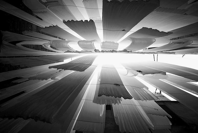 Lignes fluides et abstraites démontrant la continuité visuelle de l'effet Seamless
