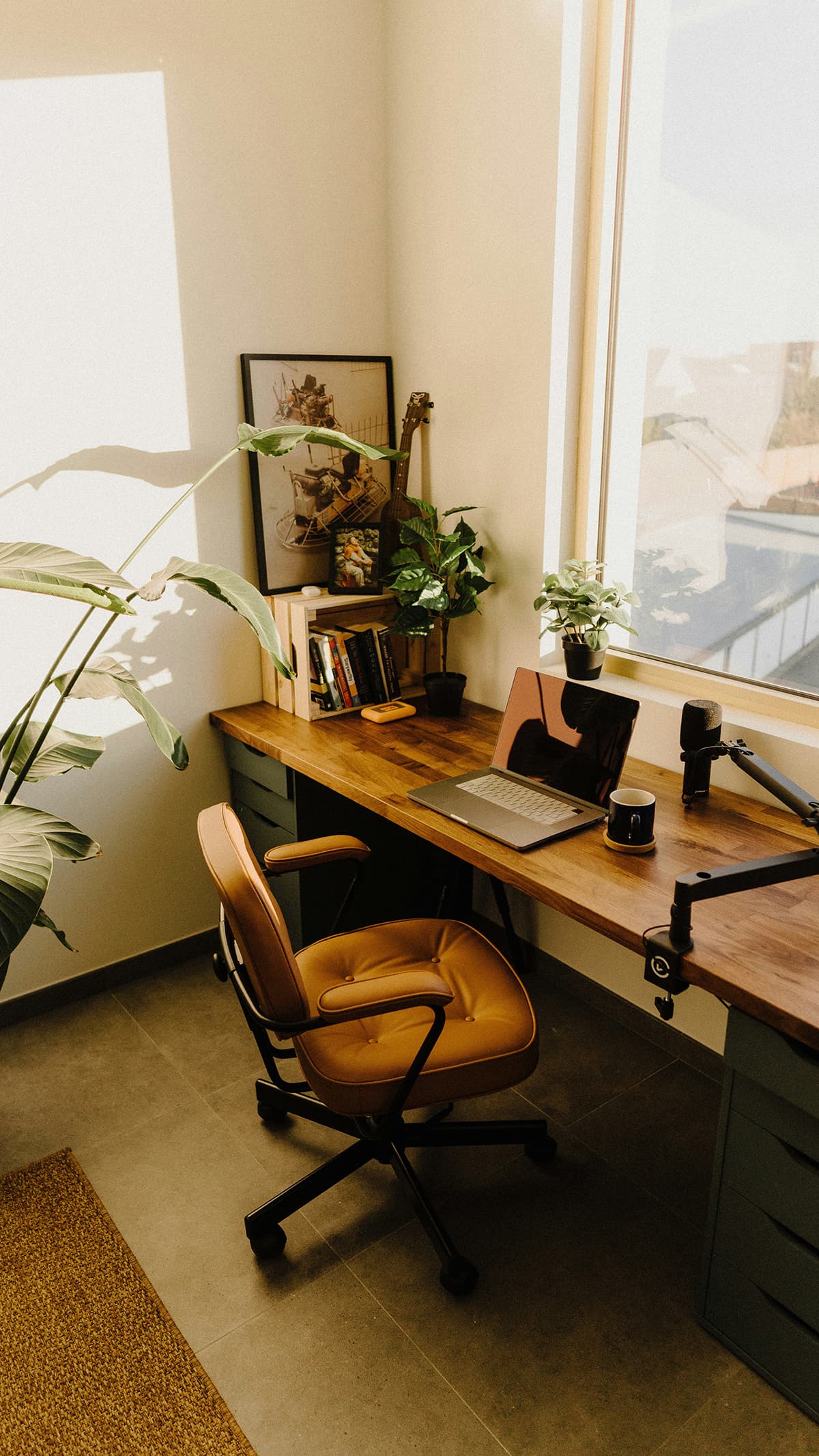Un bureau de créateur de contenu épuré avec un ordinateur portable et une plante