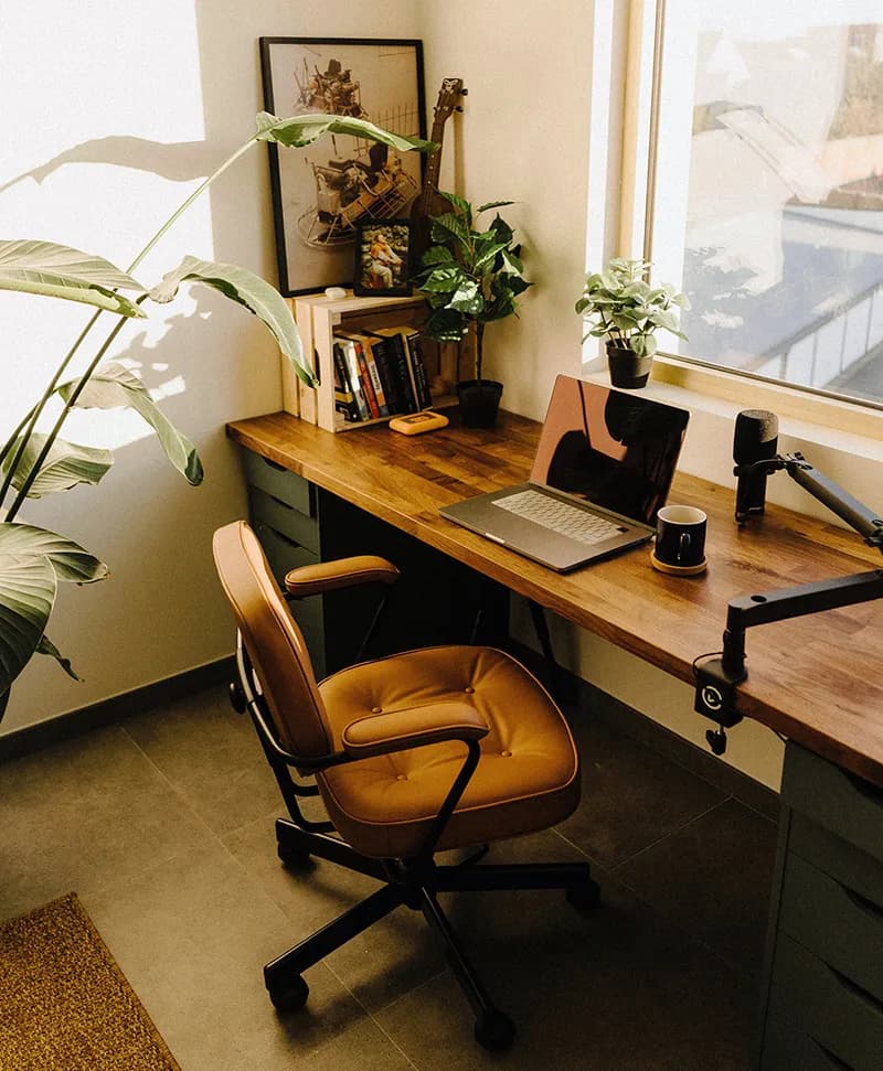 Un bureau de créateur de contenu épuré avec un ordinateur portable et une plante